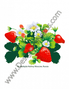 006- free vector strawberry graphic flower blossoms