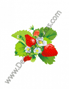 007- free vector art strawberry blossom cluster