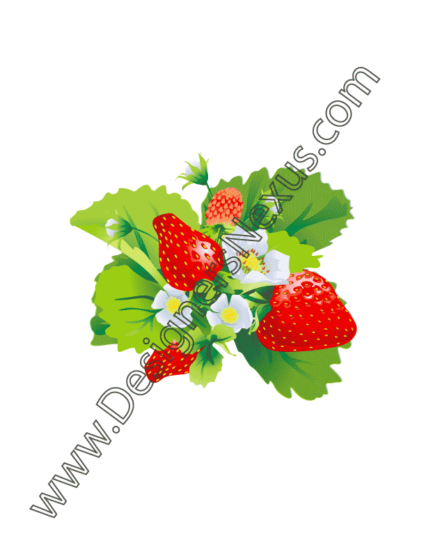 007- free vector art strawberry blossom cluster