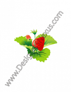 008- free vector graphic single strawberry flower blossom