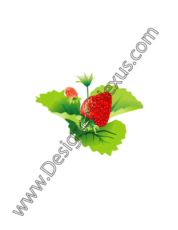 008- free vector graphic single strawberry flower blossom