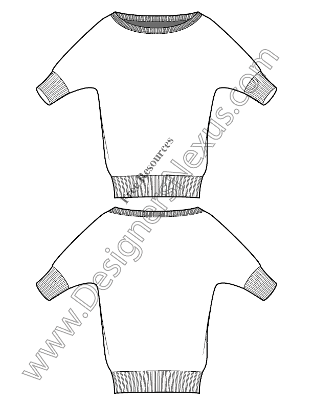 V12 Vector Sweater Sketch Free Illustrator Fashion Technical Flats